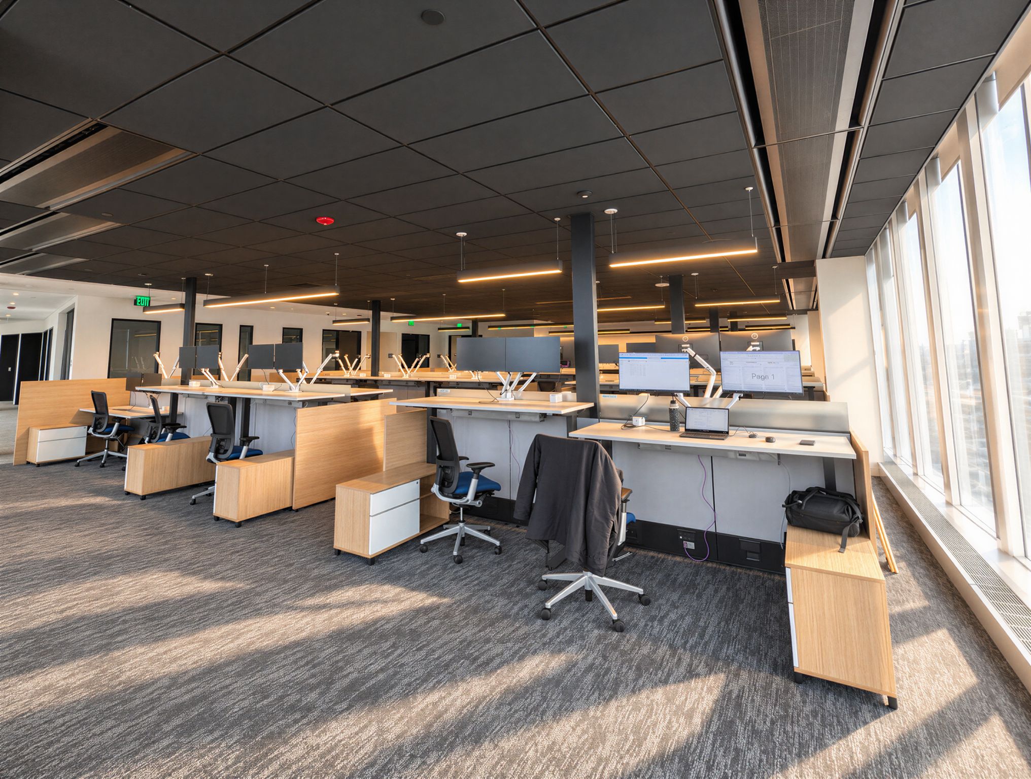 Open-plan office with timber desks, task chairs, suspended lighting, and large windows.